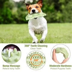 Chew-Proof Play Ball for Dogs