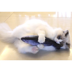 Feline Fun Fish Toy